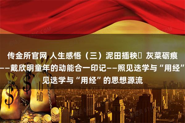 传金所官网 人生感悟（三）泥田插秧・灰菜砺痕・画架初萌——戴欣明童年的动能合一印记——照见迭学与“用经”的思想源流