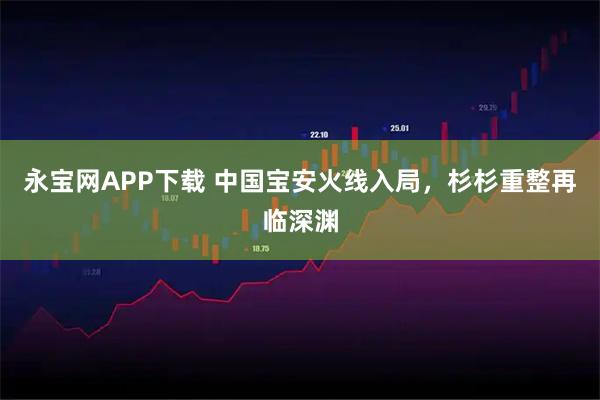 永宝网APP下载 中国宝安火线入局，杉杉重整再临深渊