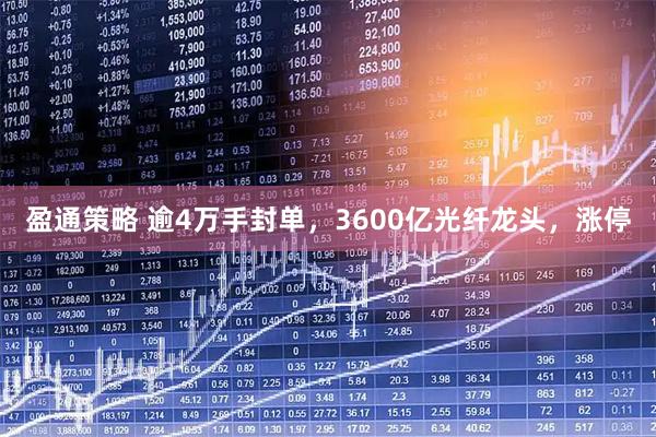 盈通策略 逾4万手封单，3600亿光纤龙头，涨停